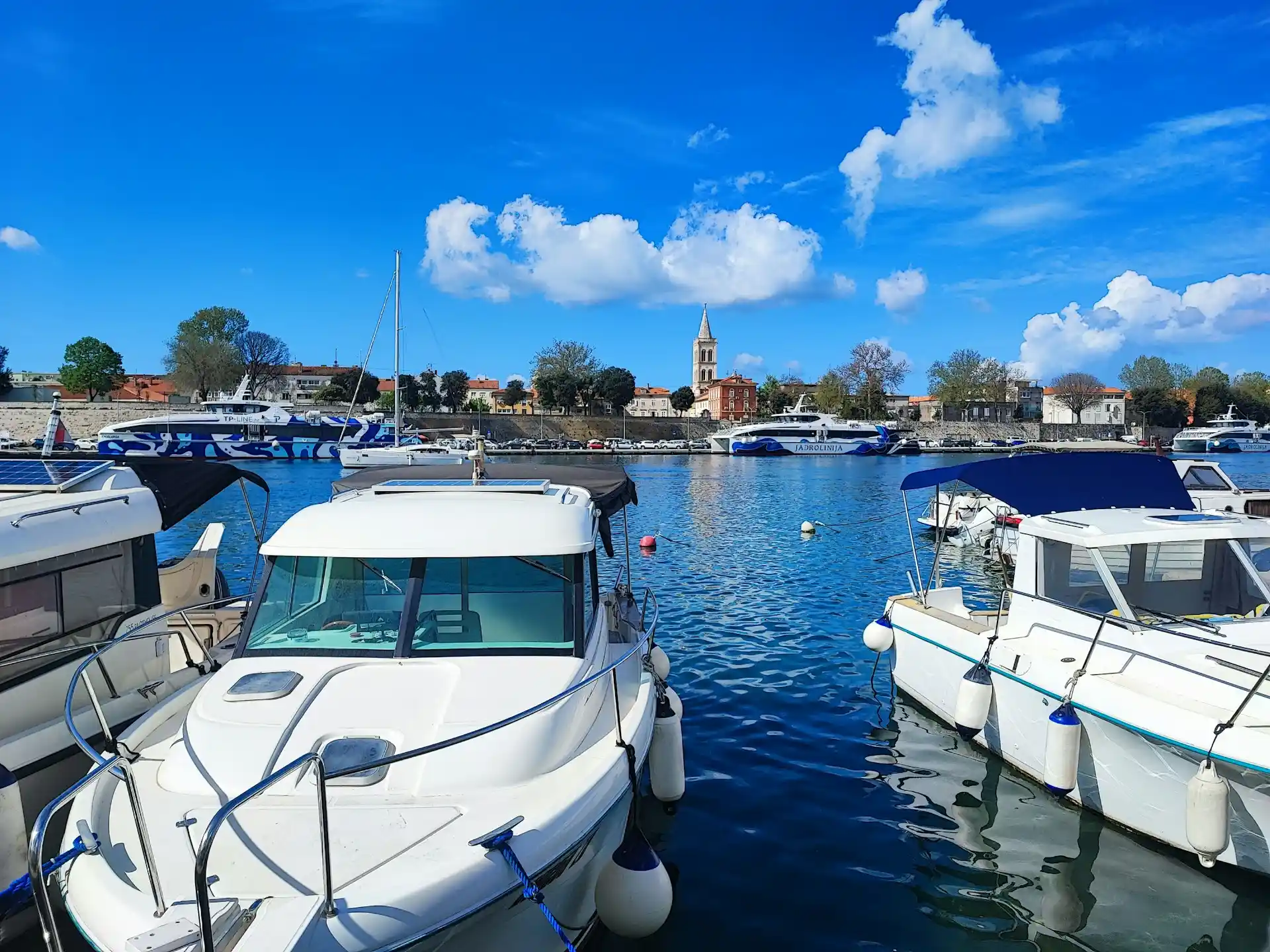 Several white boats docked in a vibrant blue marina under a sunny sky, suggesting a thriving environment that leads to the question, are boat rentals profitable?