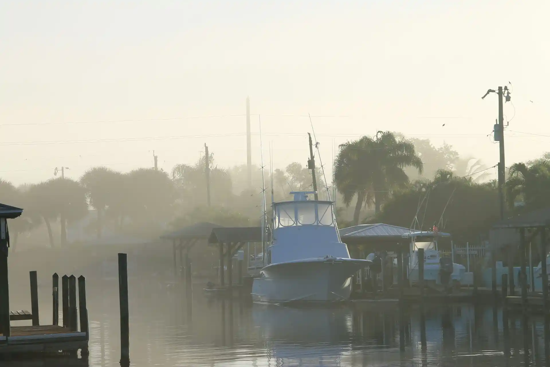 A large white boat docked in a misty, calm waterway with palm trees and houses in the background, a common scene when considering What Is Boat Rental?