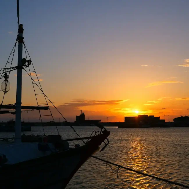 Boat Trips Florida Keys.